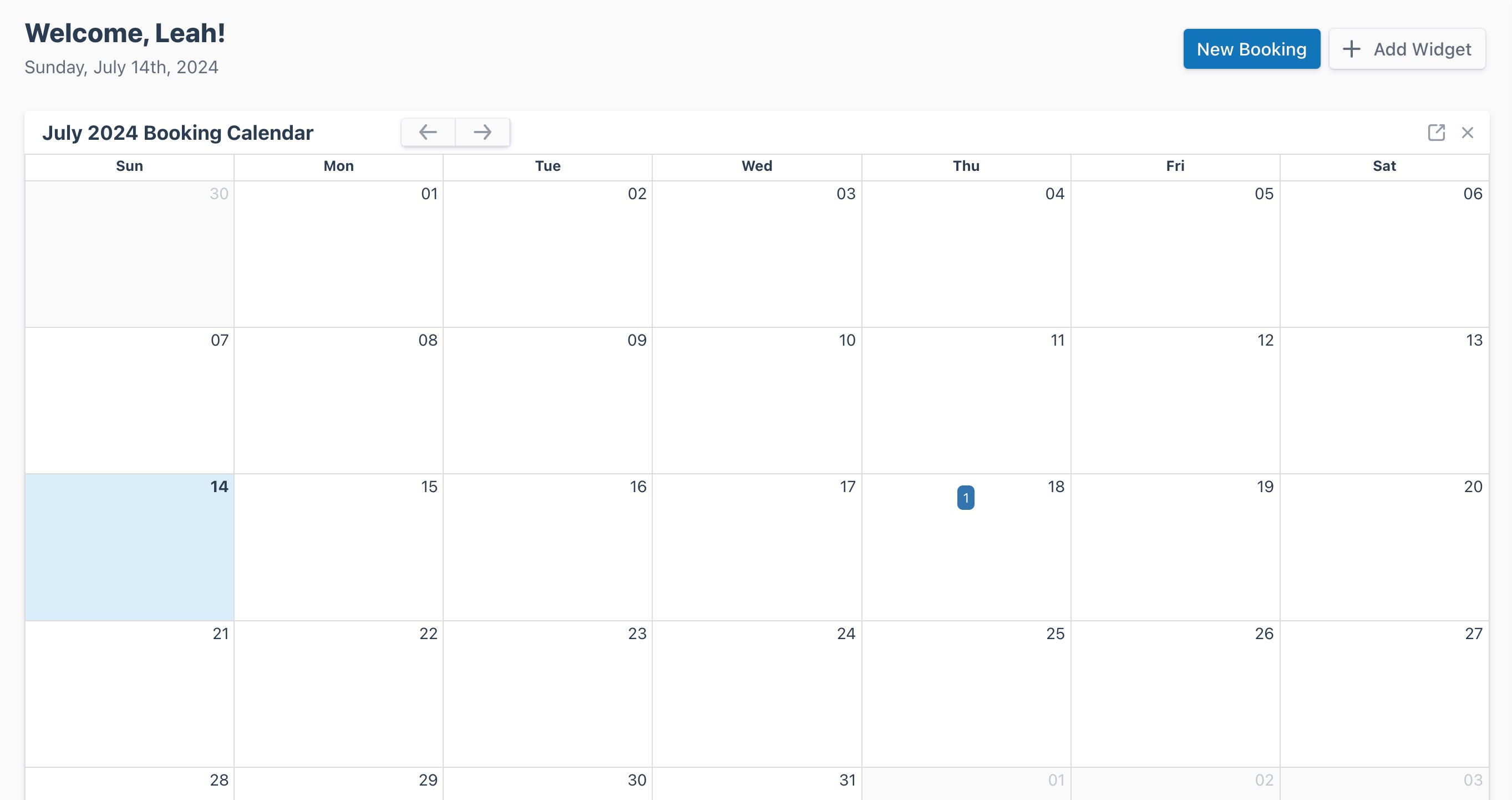 Dashboard page displaying an active widget resized to full-screen view.